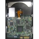 Электроника жёсткого диска 146Gb HP 481653-002 DF146BAFDU (Пуршево)