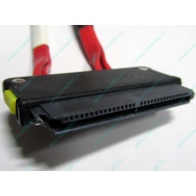 SATA-кабель для корзины HDD HP 451782-001 459190-001 для HP ML310 G5 (Пуршево)