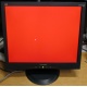 Монитор 19" ViewSonic VA903b (1280x1024) есть битые пиксели (Пуршево)