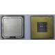 Процессор Intel Celeron D 336 (2.8GHz /256kb /533MHz) SL98W s.775 (Пуршево)