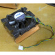 Intel C24751-002 (Пуршево)
