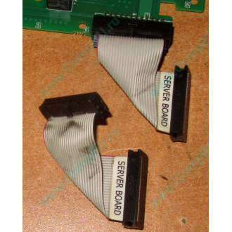 6017B0045701 Шлейф 24 pin для Intel C74974-401 T0043401-B01 корпуса SR2400 (Пуршево)