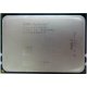 AMD Opteron 6128 OS6128WKT8EGO (Пуршево)