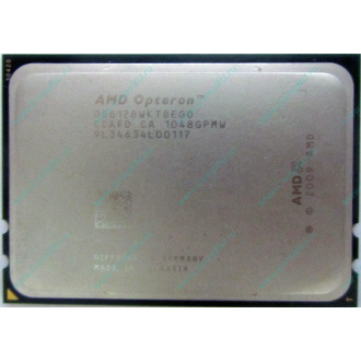 AMD Opteron 6128 OS6128WKT8EGO (Пуршево)