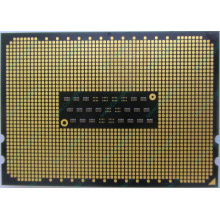 AMD Opteron 6128 OS6128WKT8EGO (Пуршево)